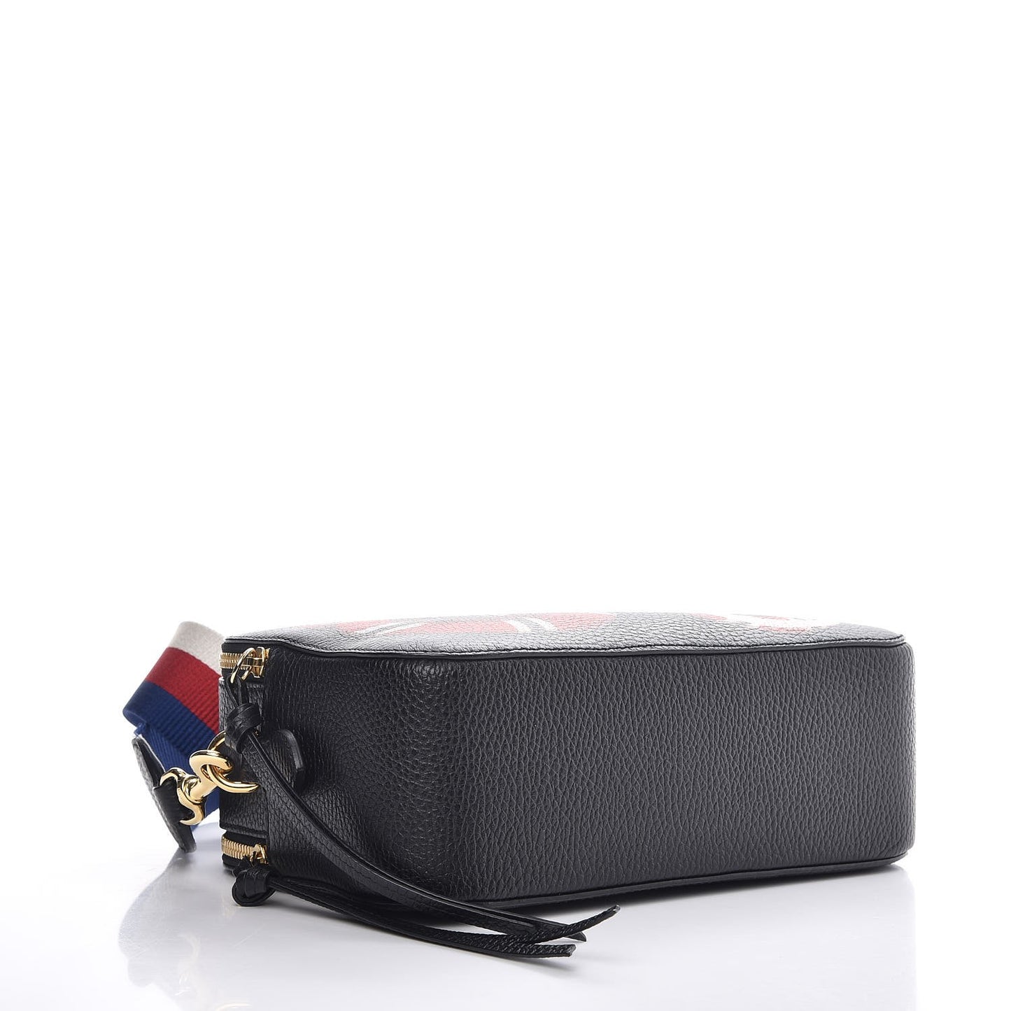 Grained Calfskin Sylvie Web Kingsnake Small Camera Bag Black Multicolor