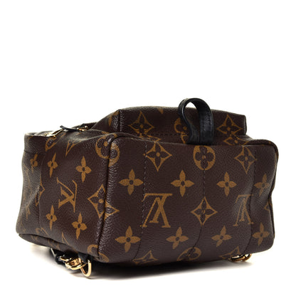 Louis Vuitton Monogram Palm Springs Backpack Mini 5 of 8