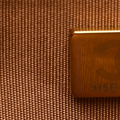 Chanel Lambskin Quilted Chanel 19 Wallet On Chain WOC Brown 9 of 14