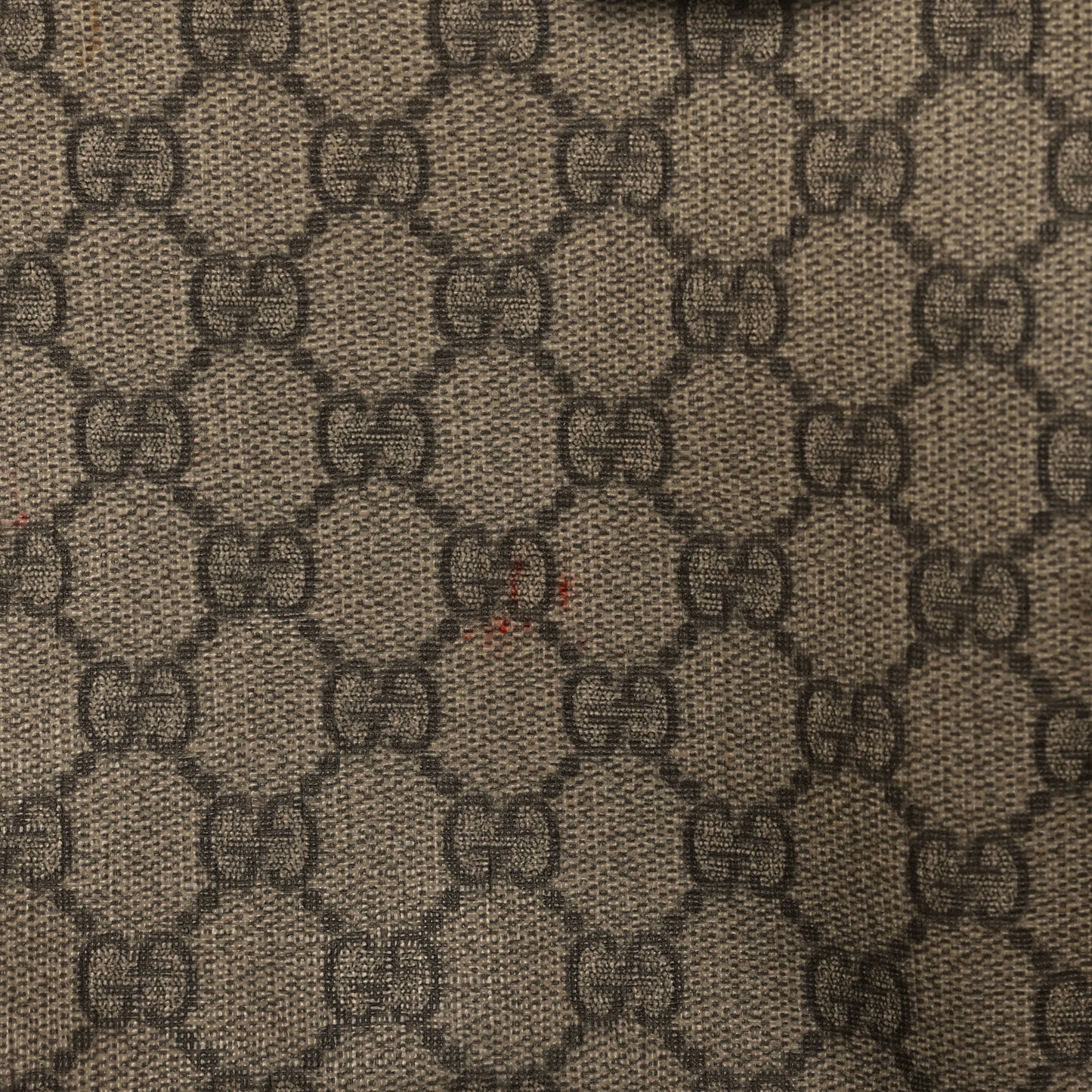 GG Plus Monogram Medium Signature Web Loop Tote Brown