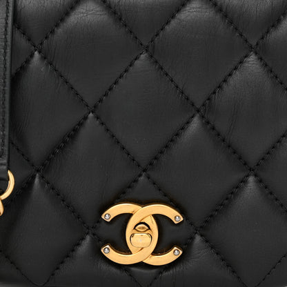 Chanel Calfskin Quilted Mini Nailed CC Flap Bag Black 8 of 13