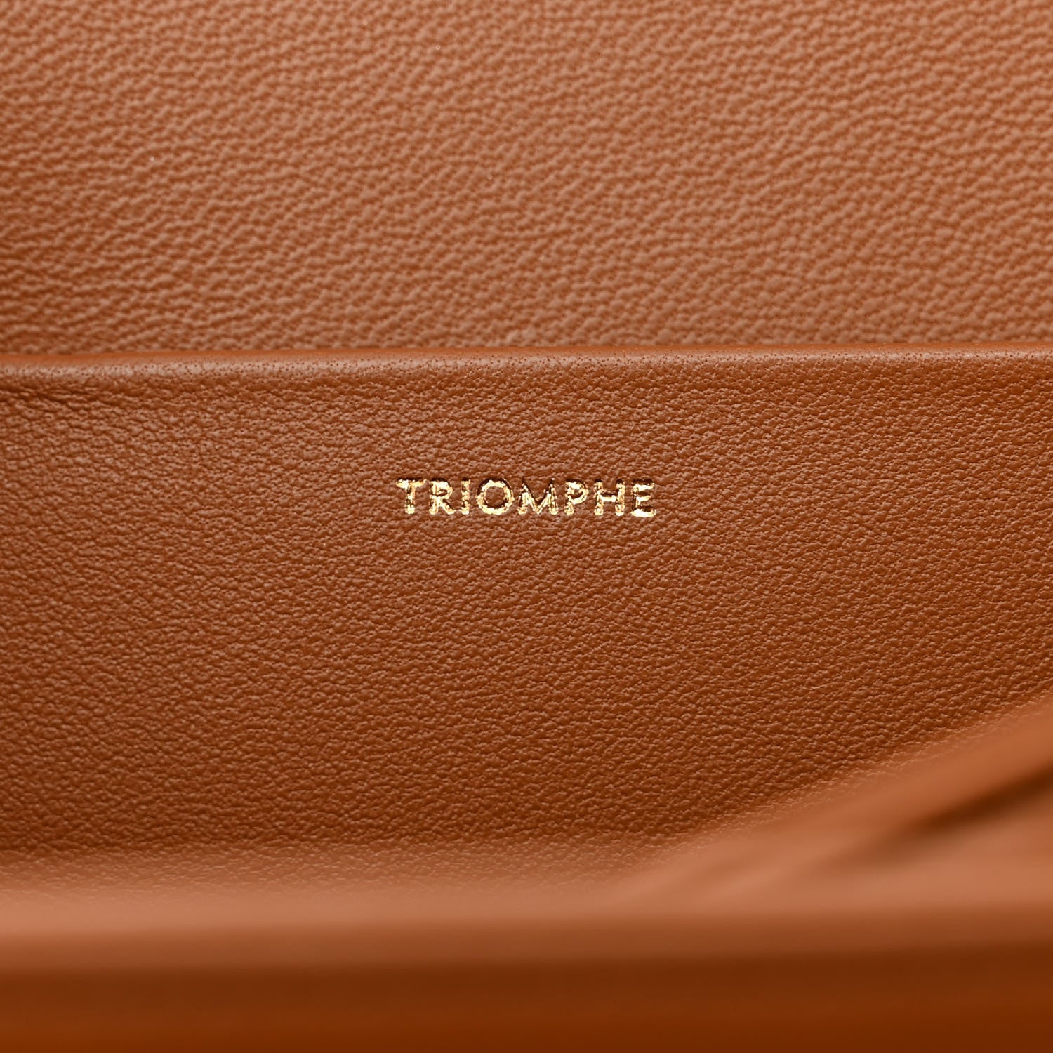 Celine Textile Calfskin Classique Triomphe Bag Natural Tan 9 of 14
