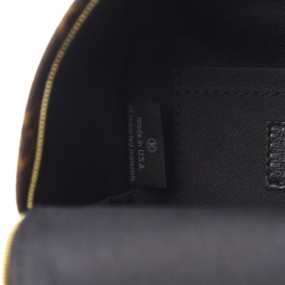 Louis Vuitton Monogram Palm Springs Backpack Mini 6 of 9