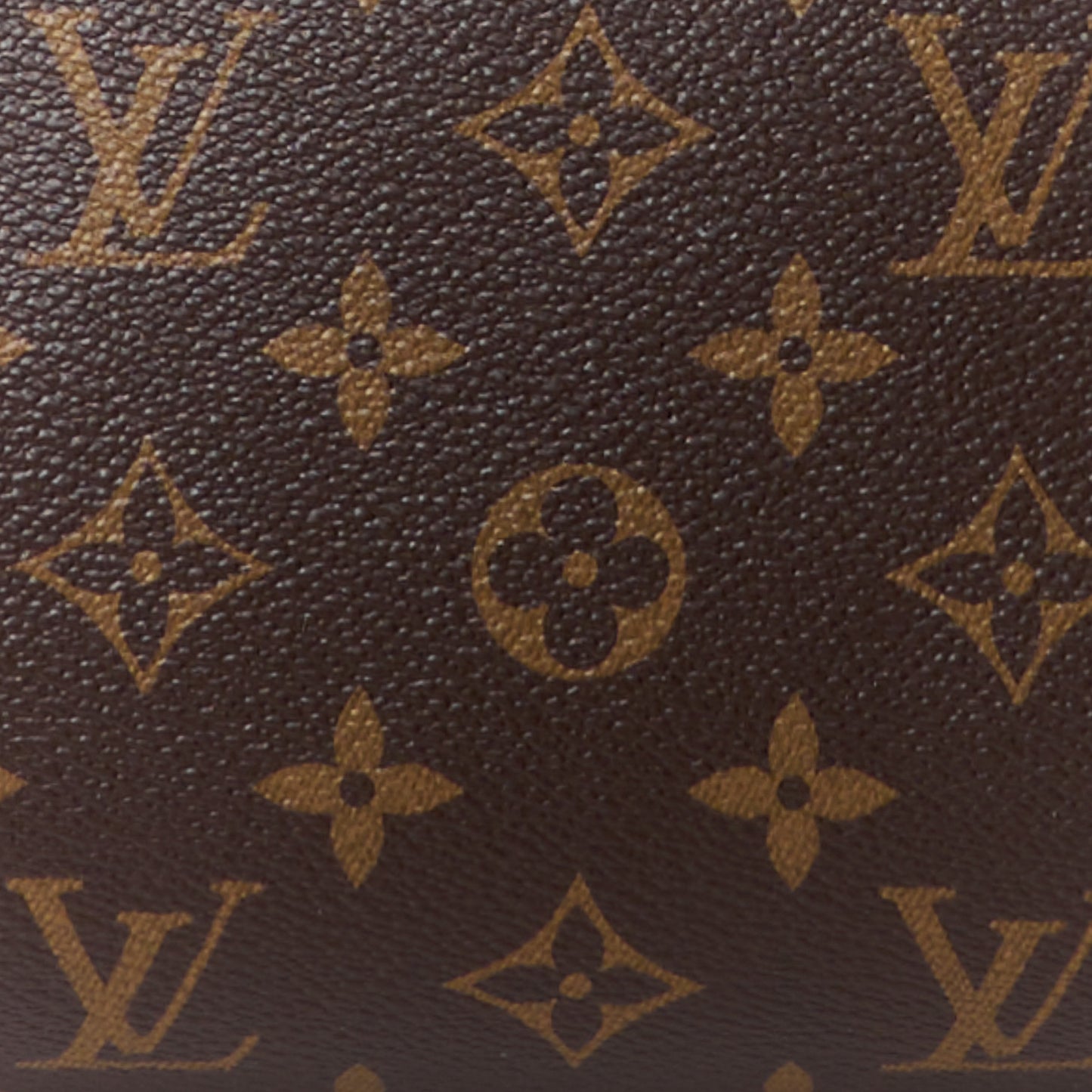 Monogram Rivoli MM
