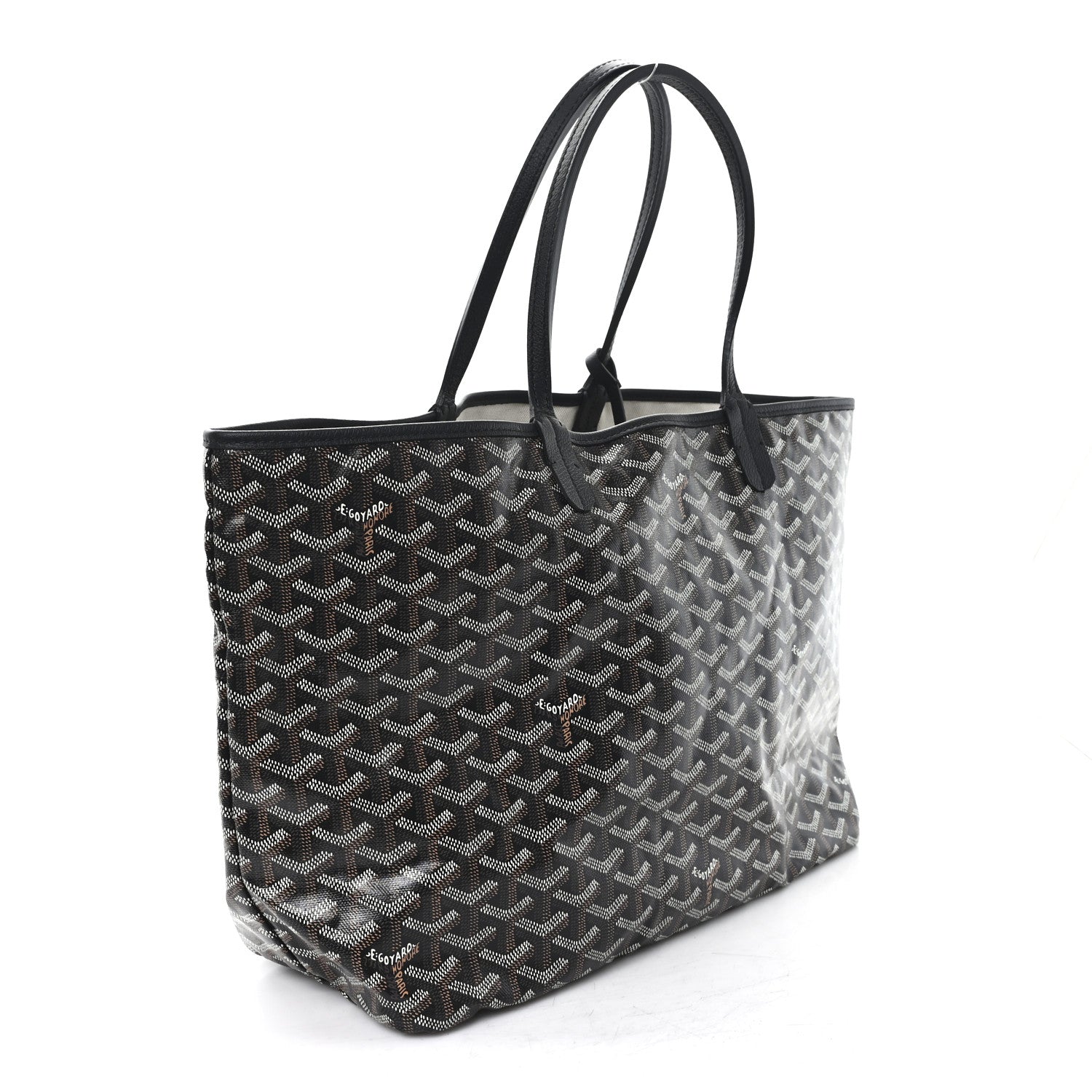 Goyard Goyardine Saint Louis PM Black 4 of 11