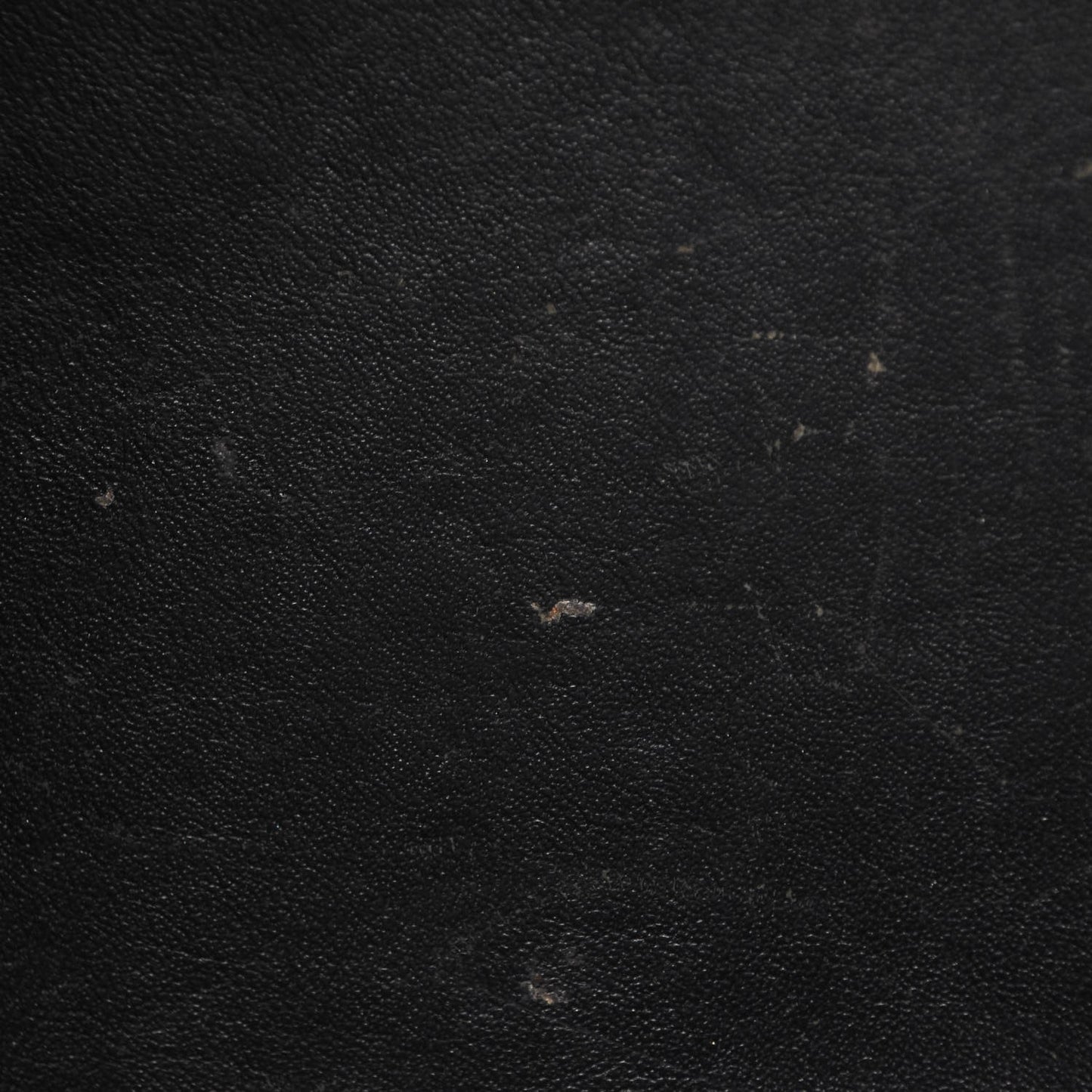 Shiny Goatskin Medium Phantom Luggage Black