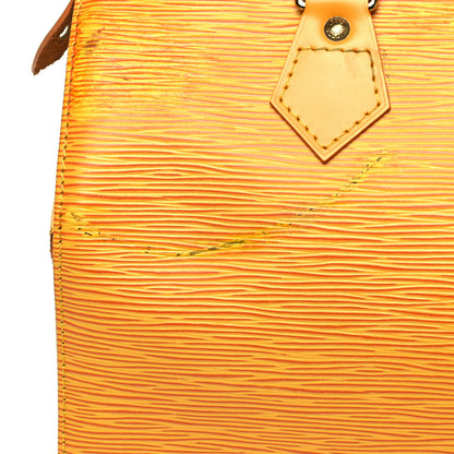 Louis Vuitton Epi Speedy 25 Tassil 10 of 12