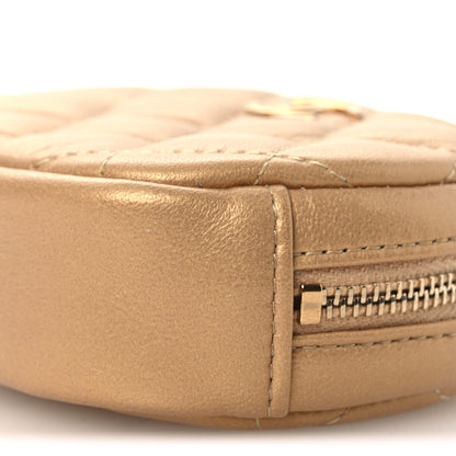 Chanel Metallic Lambskin Quilted Zip Around Classic Coin Purse Gold 10 of 11