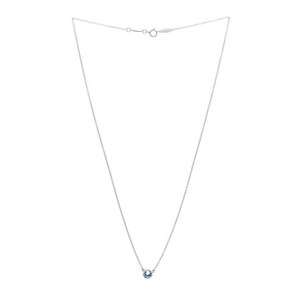 Tiffany Platinum Aquamarine Elsa Peretti Color by the Yard Pendant Necklace 3 of 5