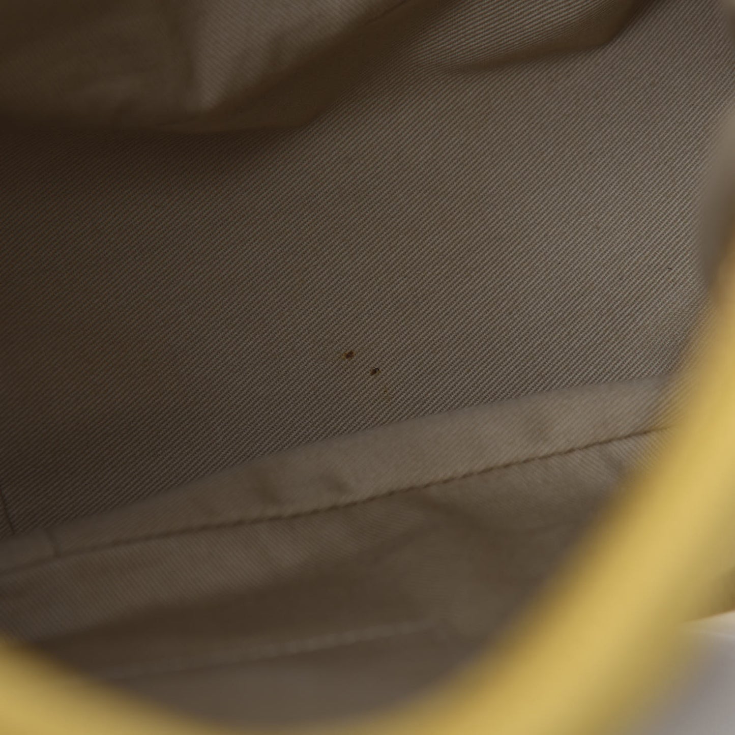 Calfskin Medium Paraty Mustard