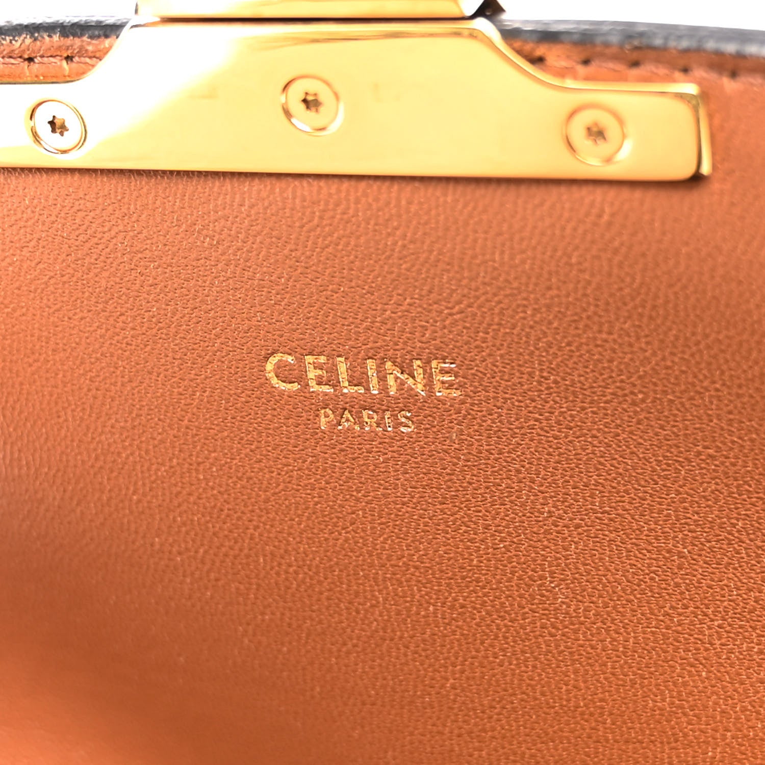 Celine Calfskin Triomphe Canvas Teen Triomphe Bag White 6 of 11