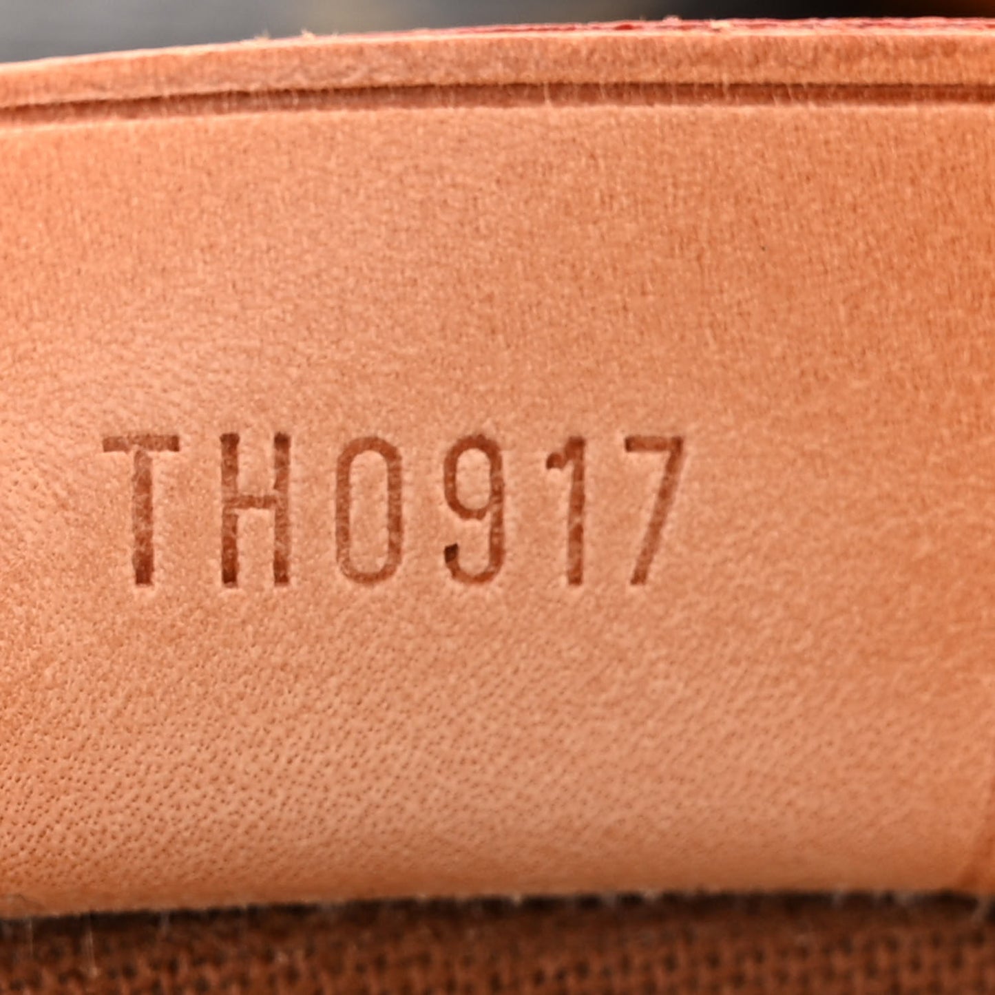 Monogram Mini Sac HL Speedy