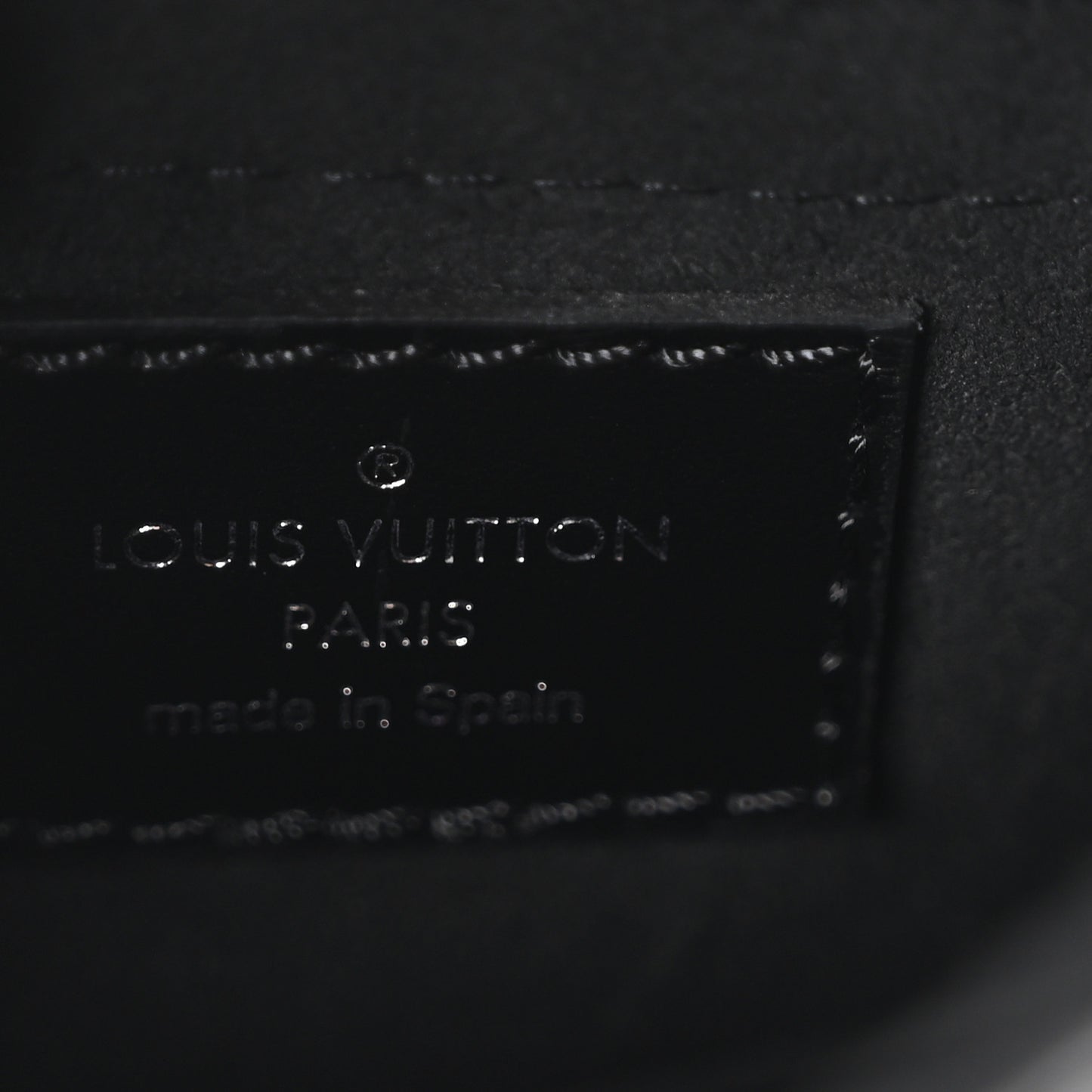 Calfskin Monogram Camera Box Vibe Black