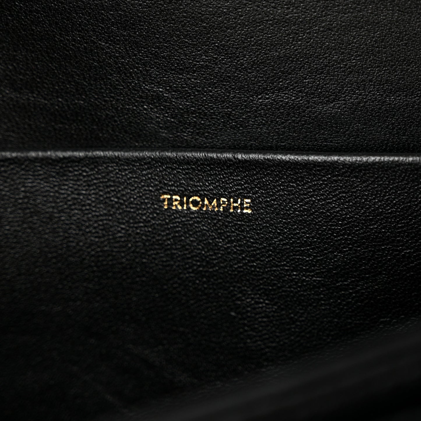 Shiny Calfskin Medium Triomphe Black