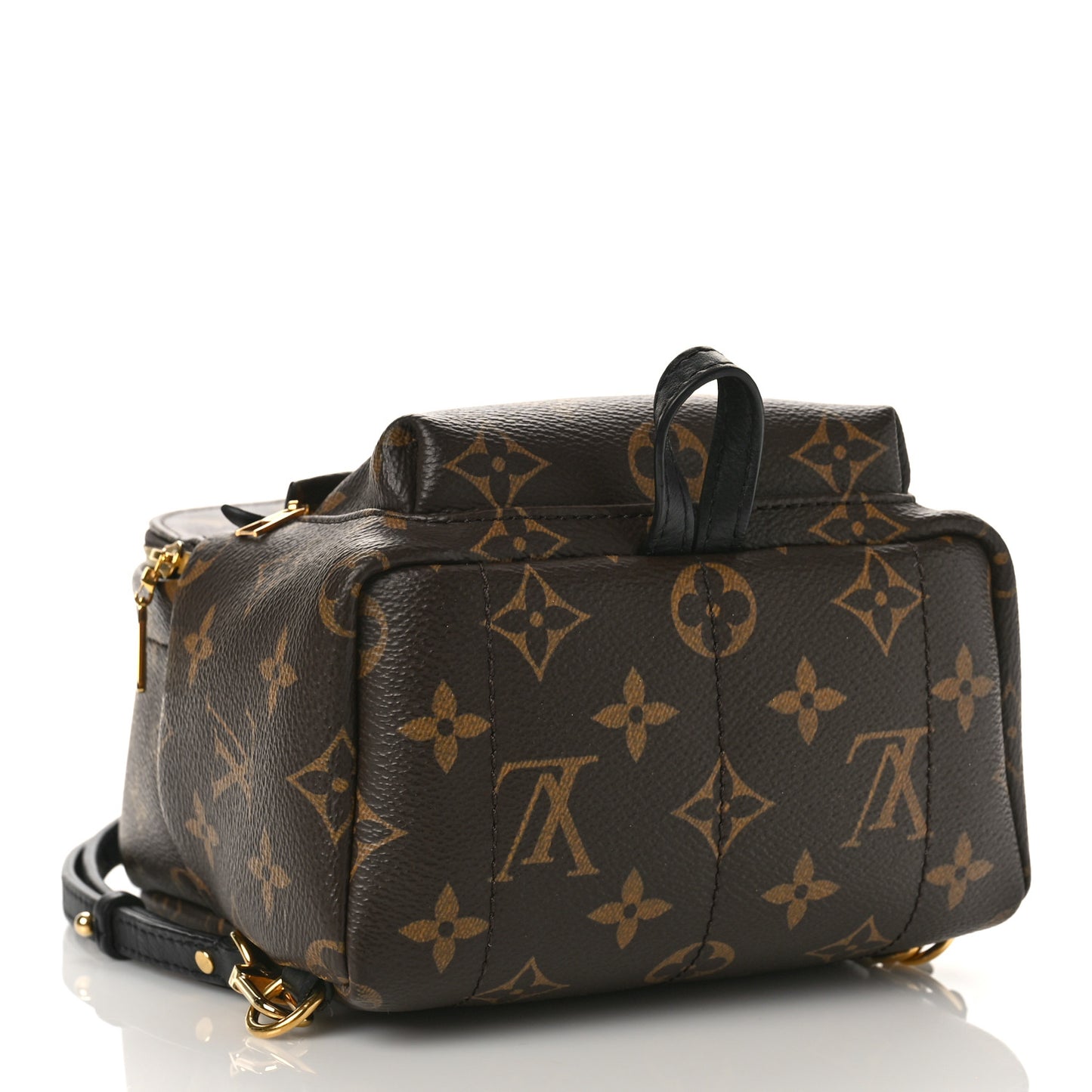 Monogram Palm Springs Backpack Mini