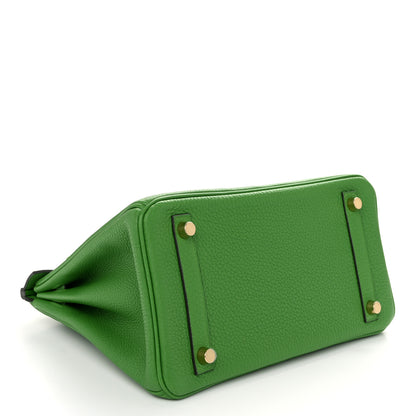 Hermes Togo Birkin 25 Vert Yucca 3 of 12