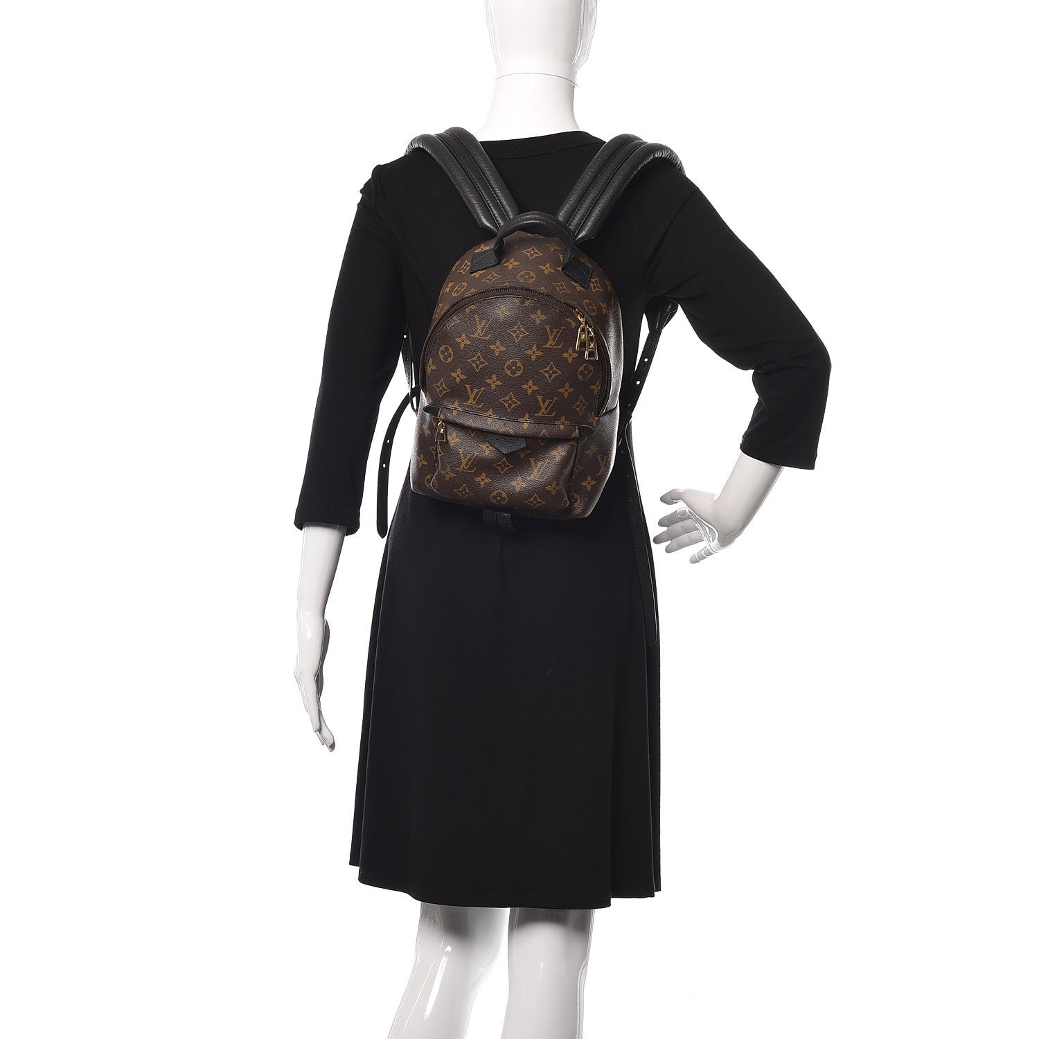 Louis Vuitton Monogram Palm Springs Backpack PM 2 of 14