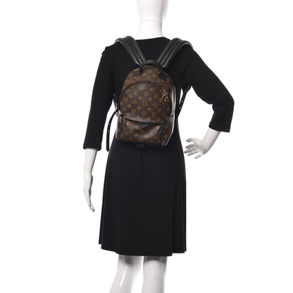 Louis Vuitton Monogram Palm Springs Backpack PM 2 of 14