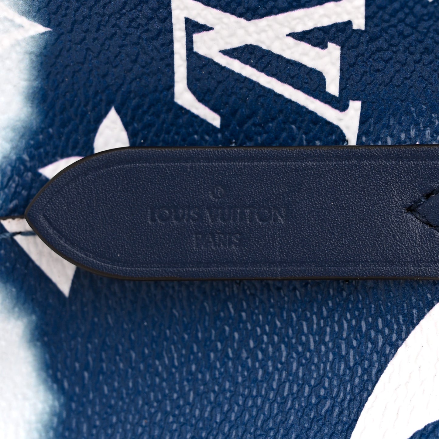 Monogram Escale Neonoe MM Blue