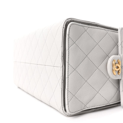 Chanel Caviar Quilted Medium Chanel 25 Handbag Light Gray 11 of 11