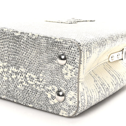 Louis Vuitton Lizard Mini Capucines Argento 9 of 10