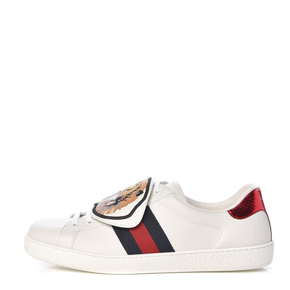 Gucci Calfskin Ayers Web Tiger Embroidered Mens Ace Sneakers 10.5 White 1 of 12