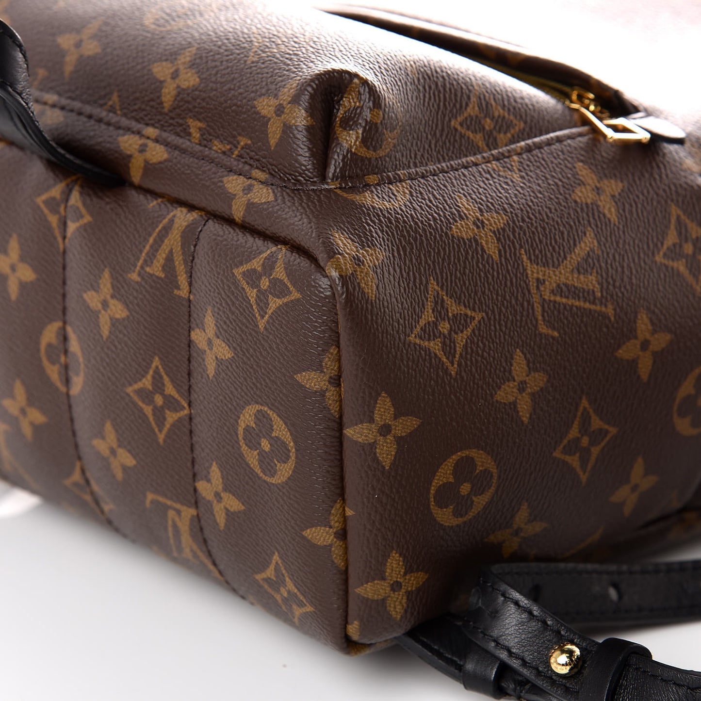 Monogram Palm Springs Backpack PM