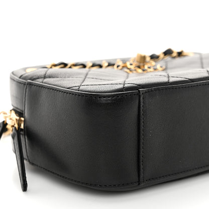 Chanel Goatskin Quilted 19 Camera Case Black 9 of 10