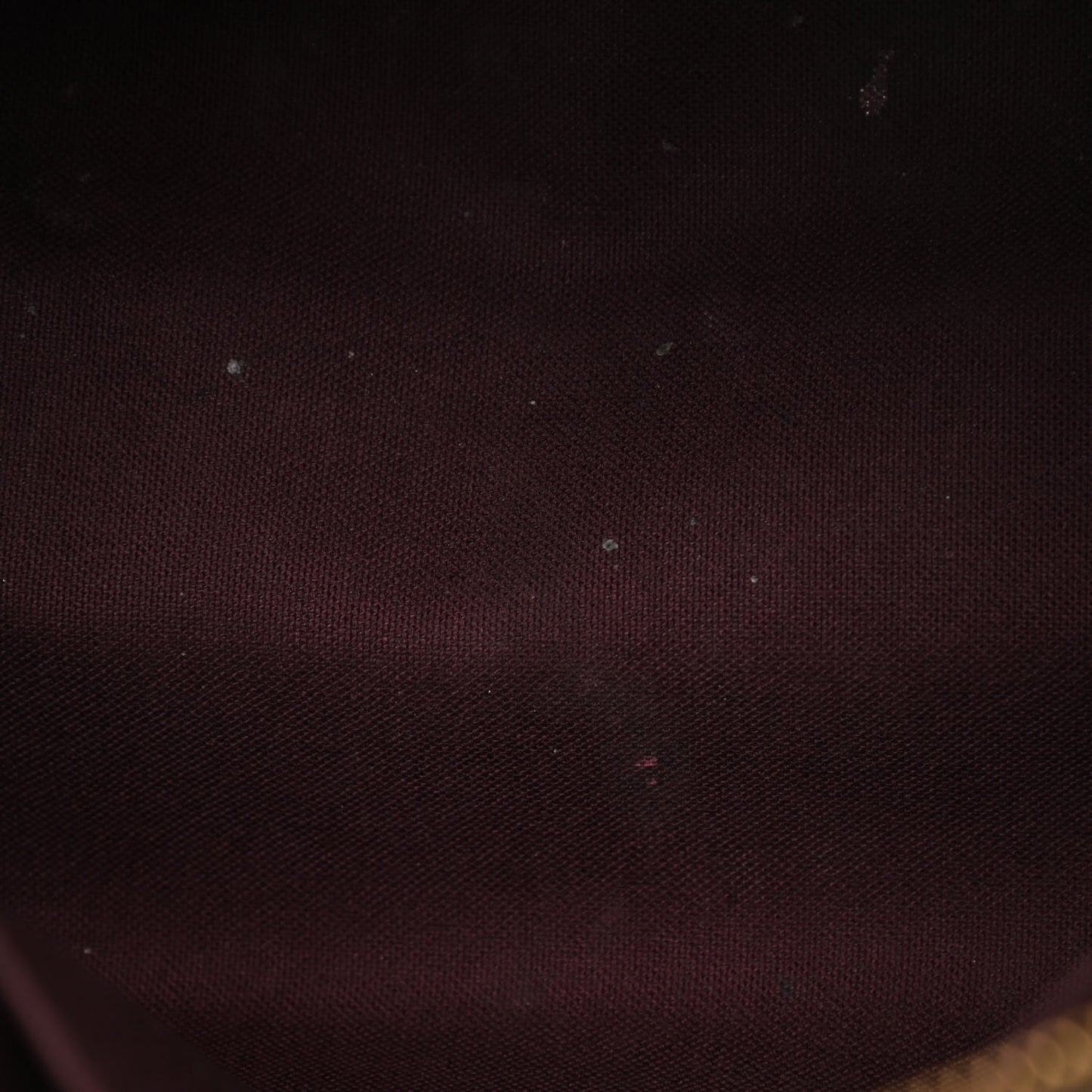 Monogram Turenne PM
