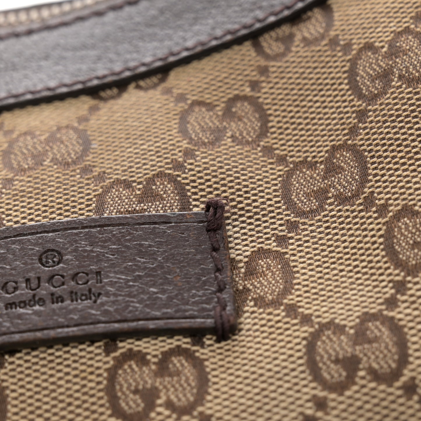 Monogram Web Medium Half Moon Hobo Dark Brown