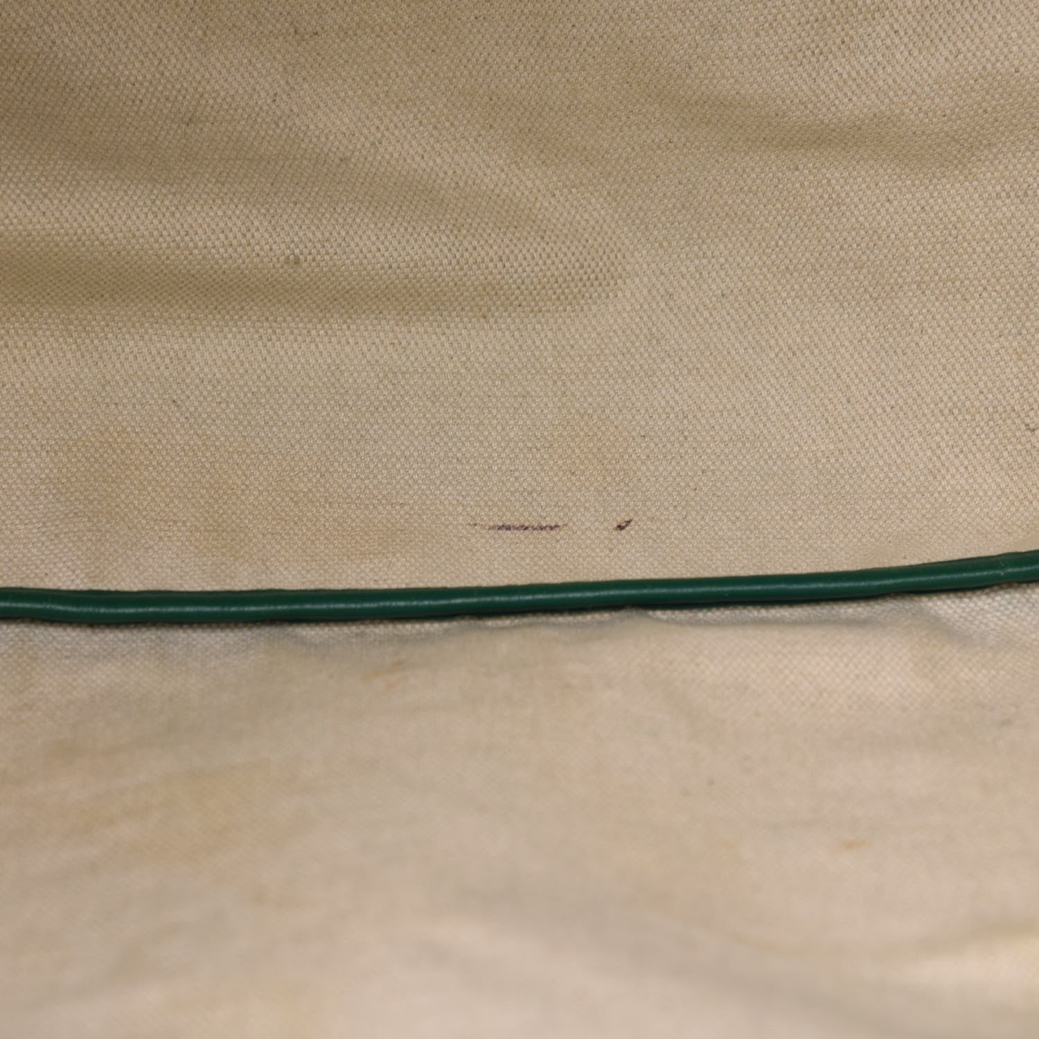 Goyard Goyardine Saint Louis GM Green 7 of 13