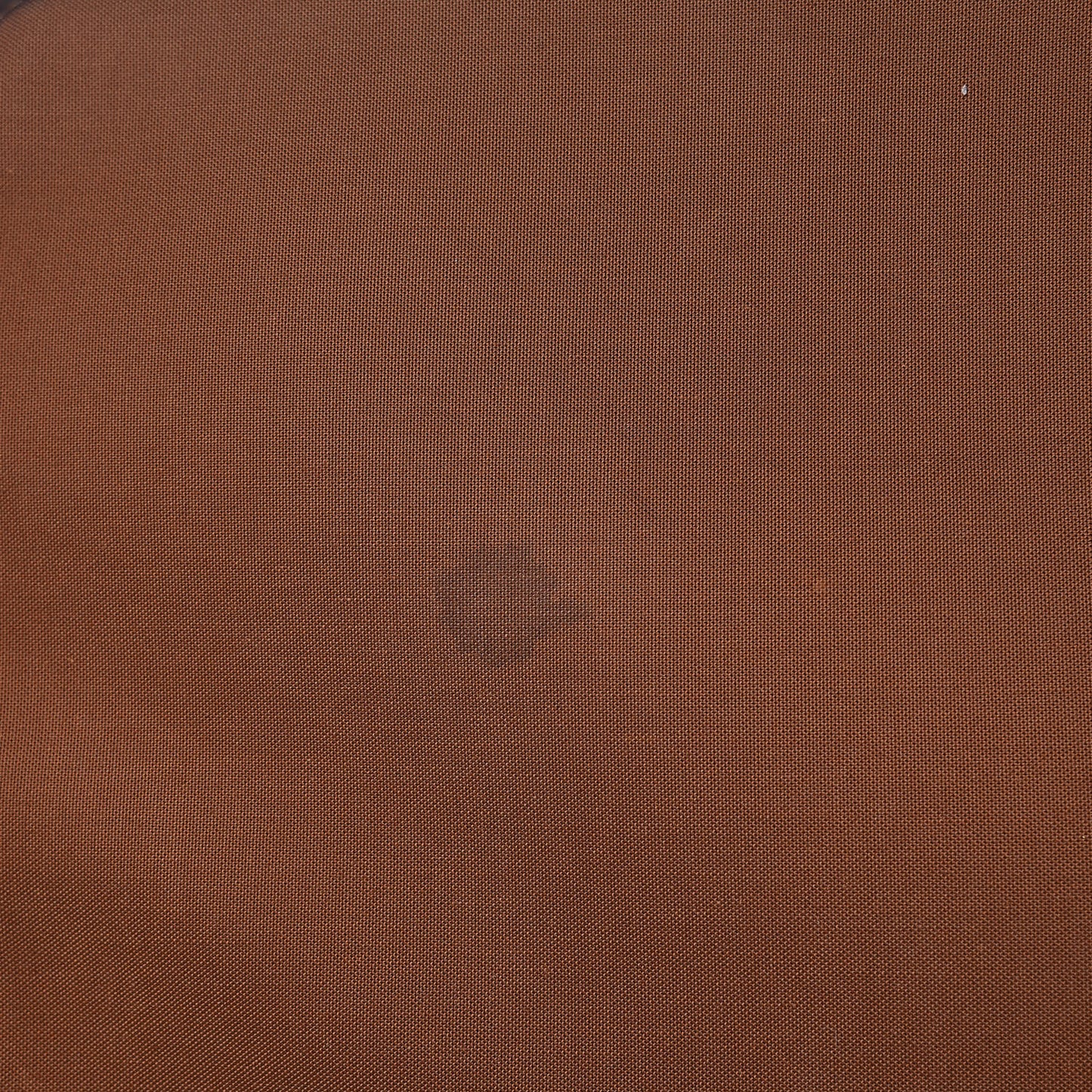 Monogram Pegase 55
