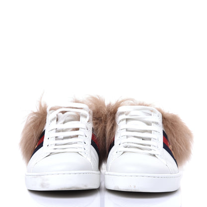 Gucci Calfskin Wool Web Bee Embroidered Womens Ace Sneakers 36.5 White 3 of 9