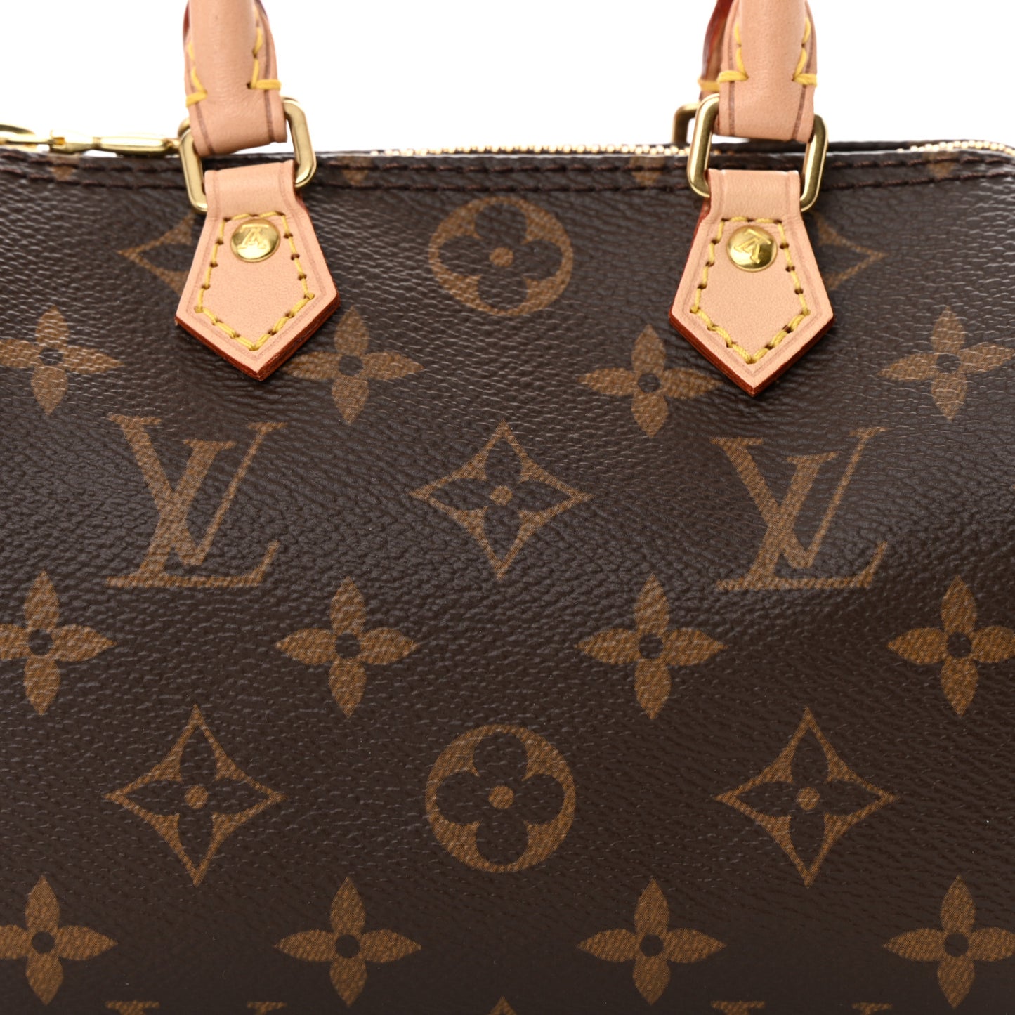 Monogram Nano Speedy
