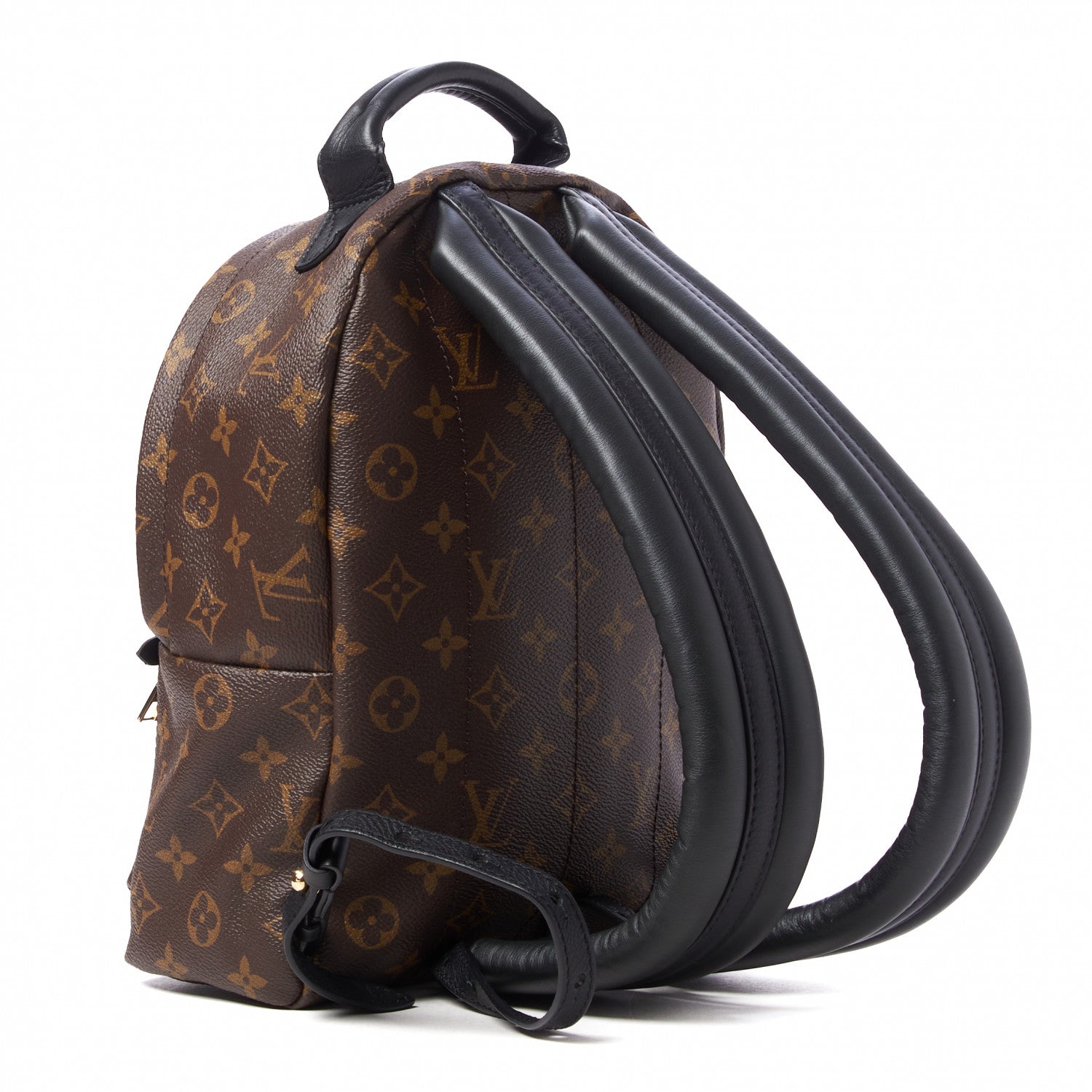 Louis Vuitton Monogram Palm Springs Backpack PM 3 of 9