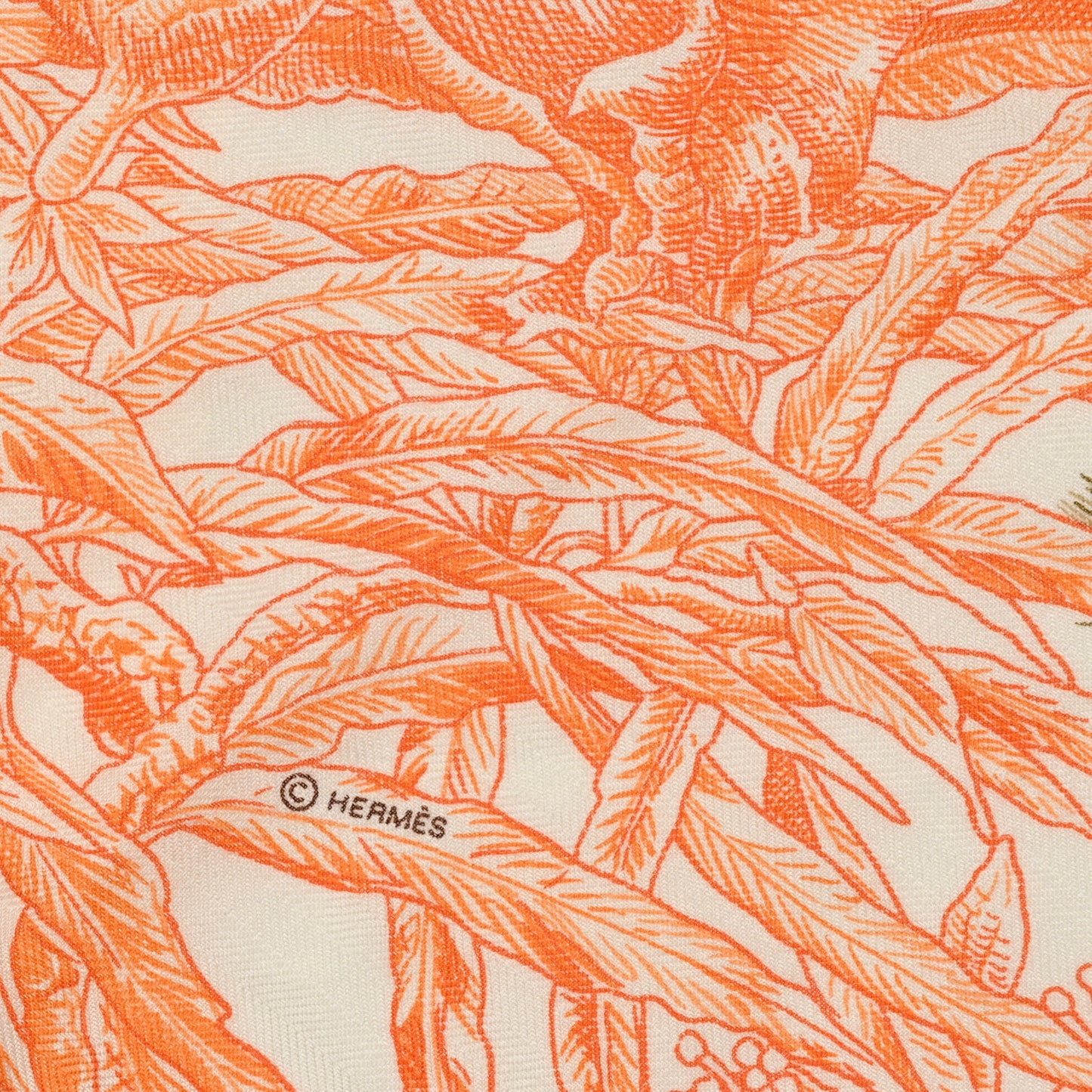Cashmere Silk All 'Orto Botanico Di Palermo Shawl 140 Orange White Vert Chartreuse