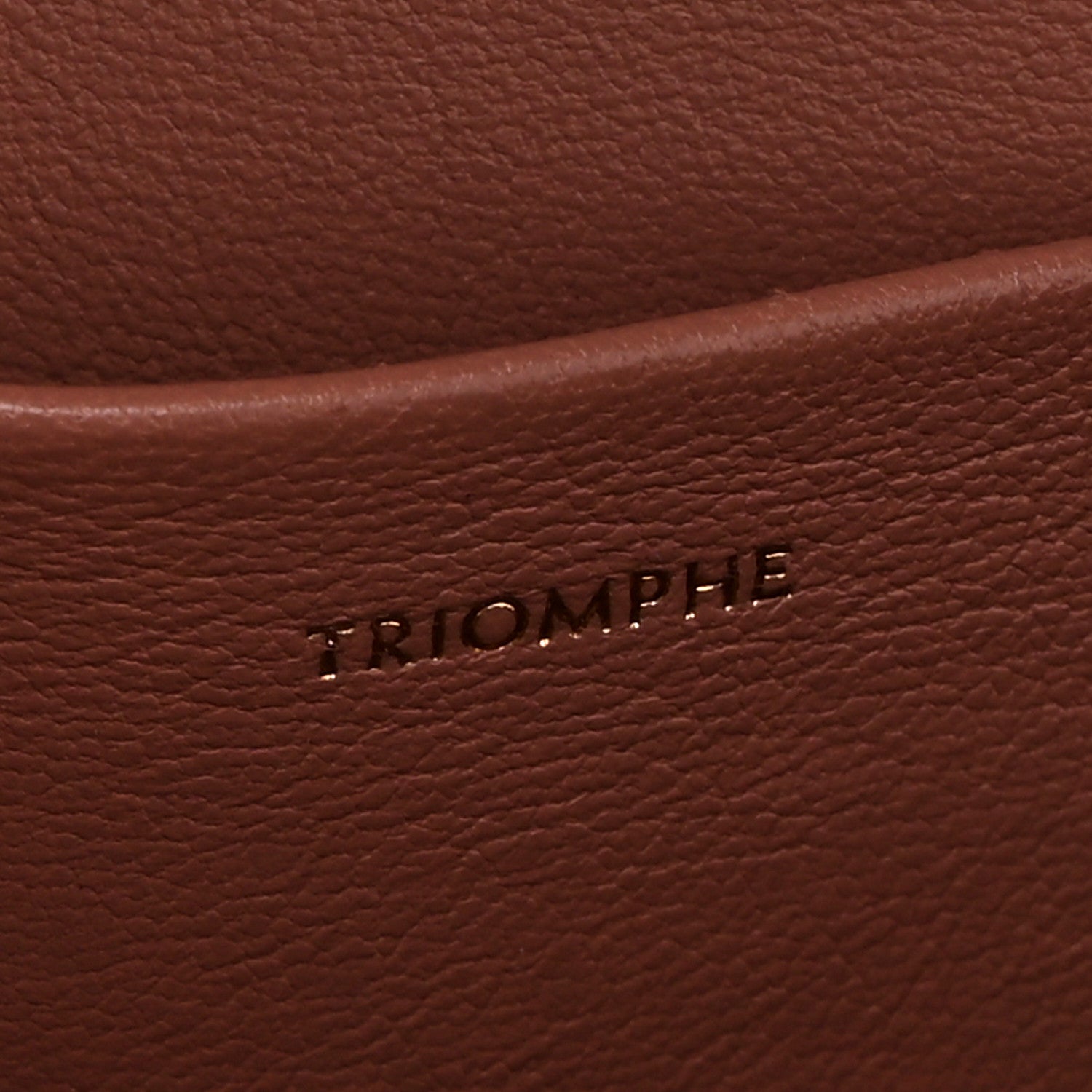 Celine Shiny Calfskin Teen Triomphe Pink 7 of 11