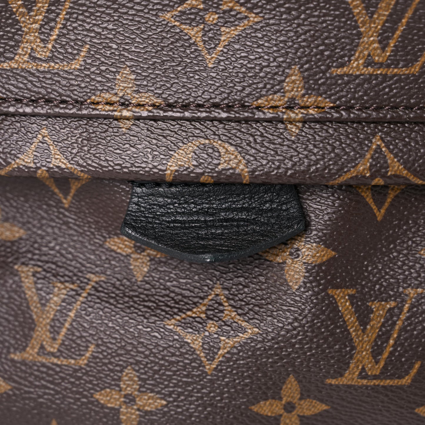 Monogram Palm Springs Backpack PM