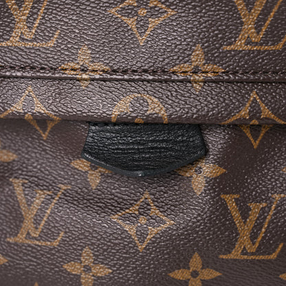 Louis Vuitton Monogram Palm Springs Backpack PM 12 of 14