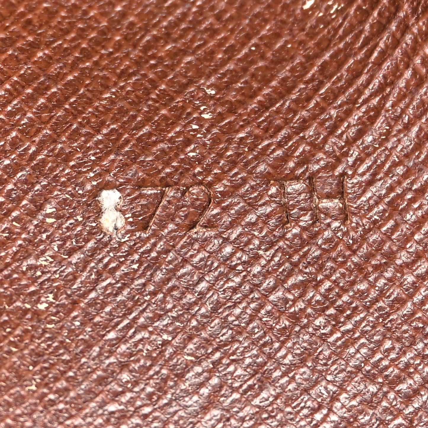 Monogram Amazone PM