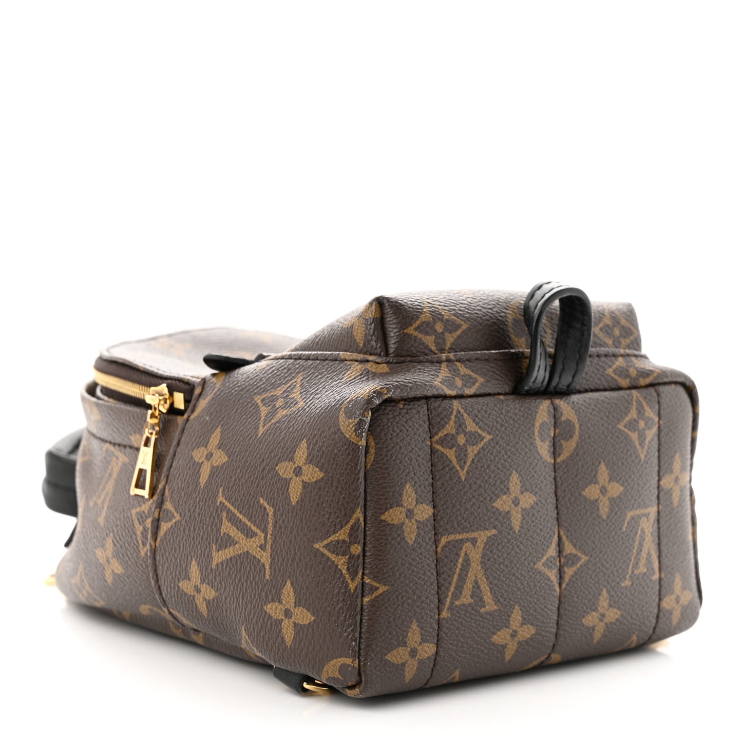 Monogram Palm Springs Backpack Mini