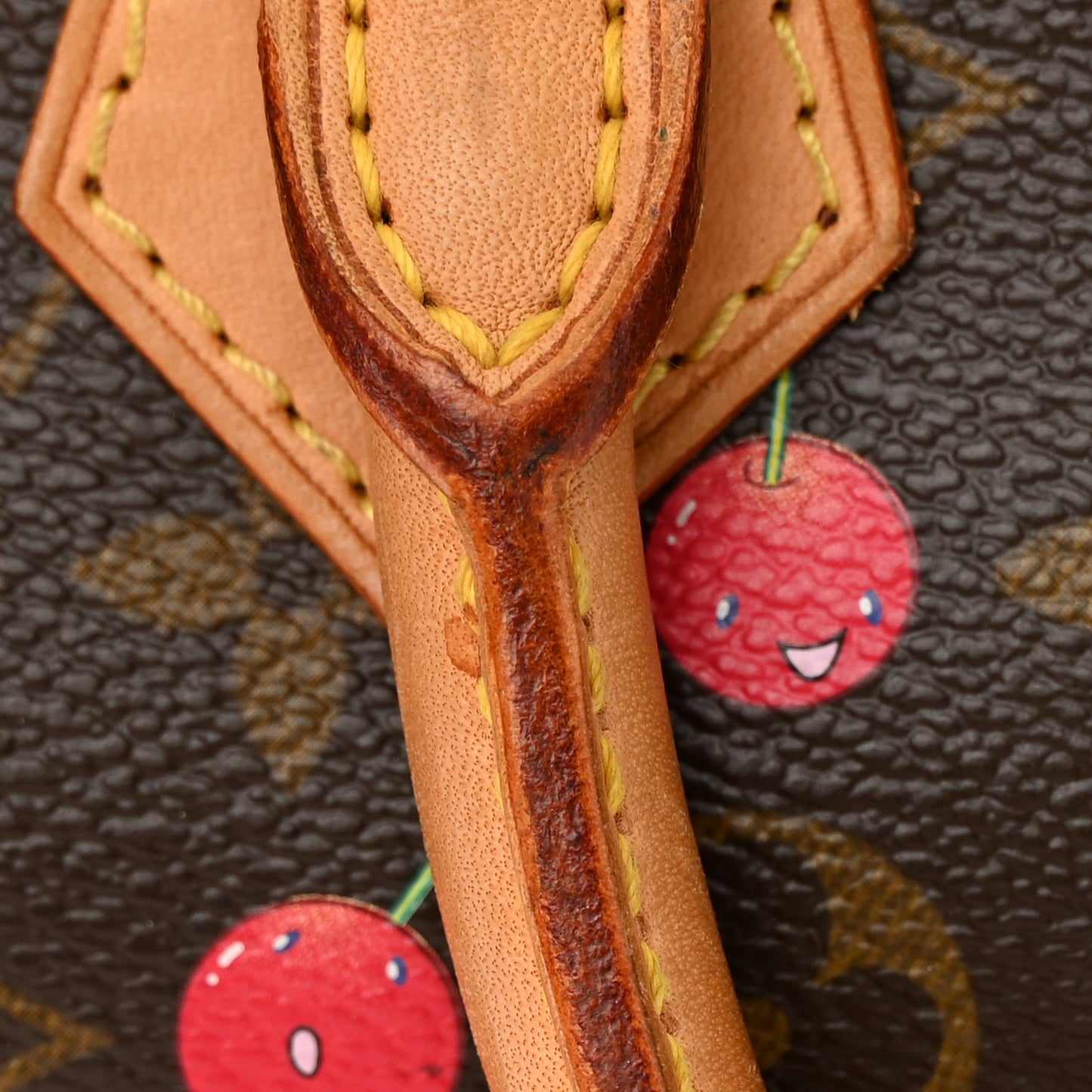 Monogram Cerises Speedy 25