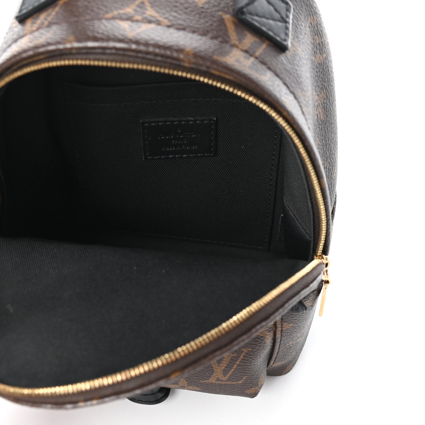 Monogram Palm Springs Backpack Mini