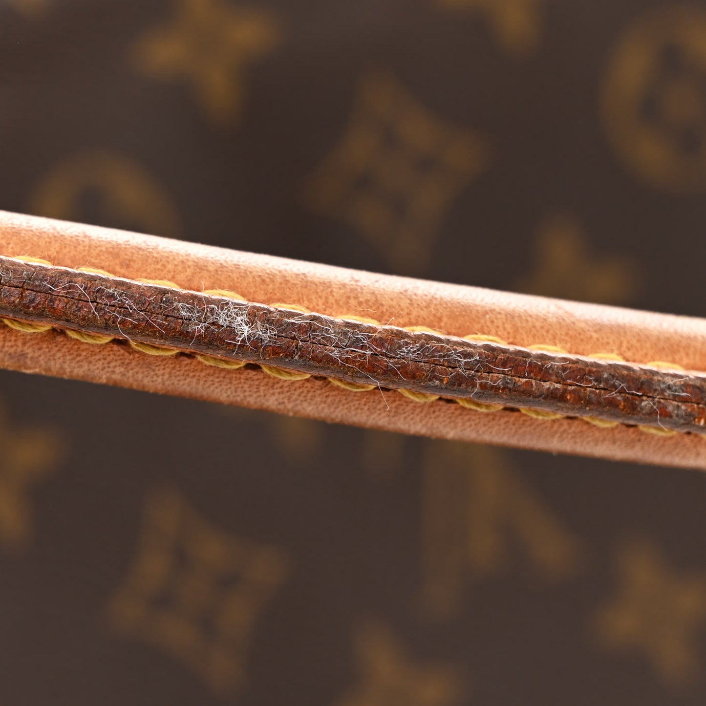 Monogram Mini Looping