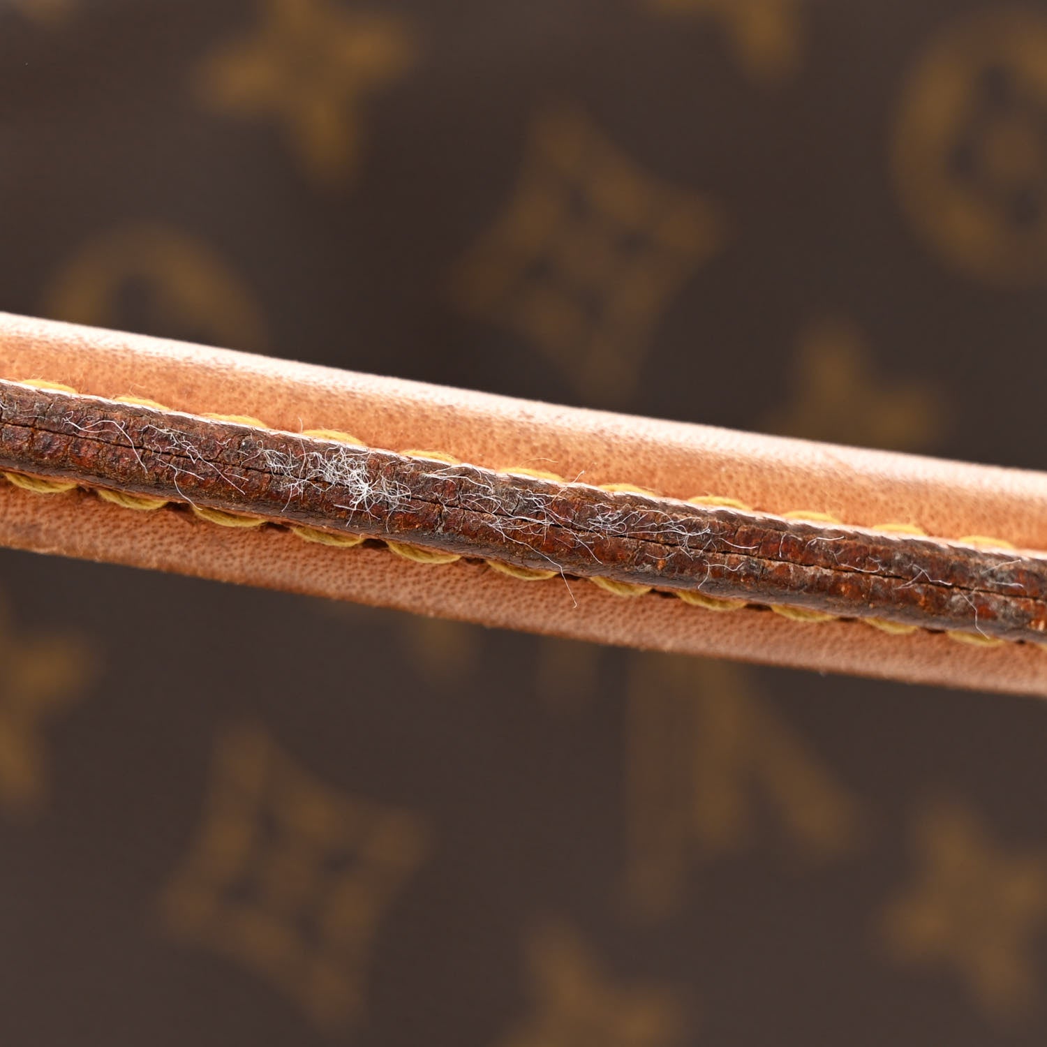 Louis Vuitton Monogram Mini Looping 12 of 12