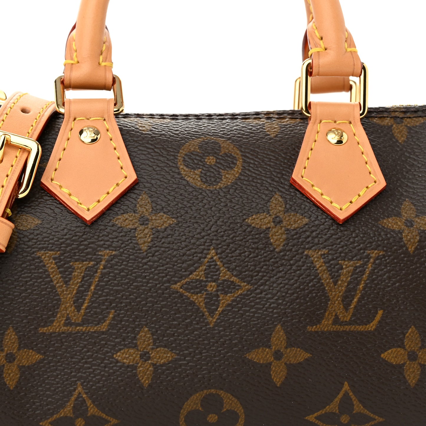 Monogram Nano Speedy Bandouliere