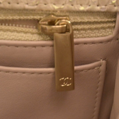 Chanel Iridescent Python Mini Flap 8 of 10