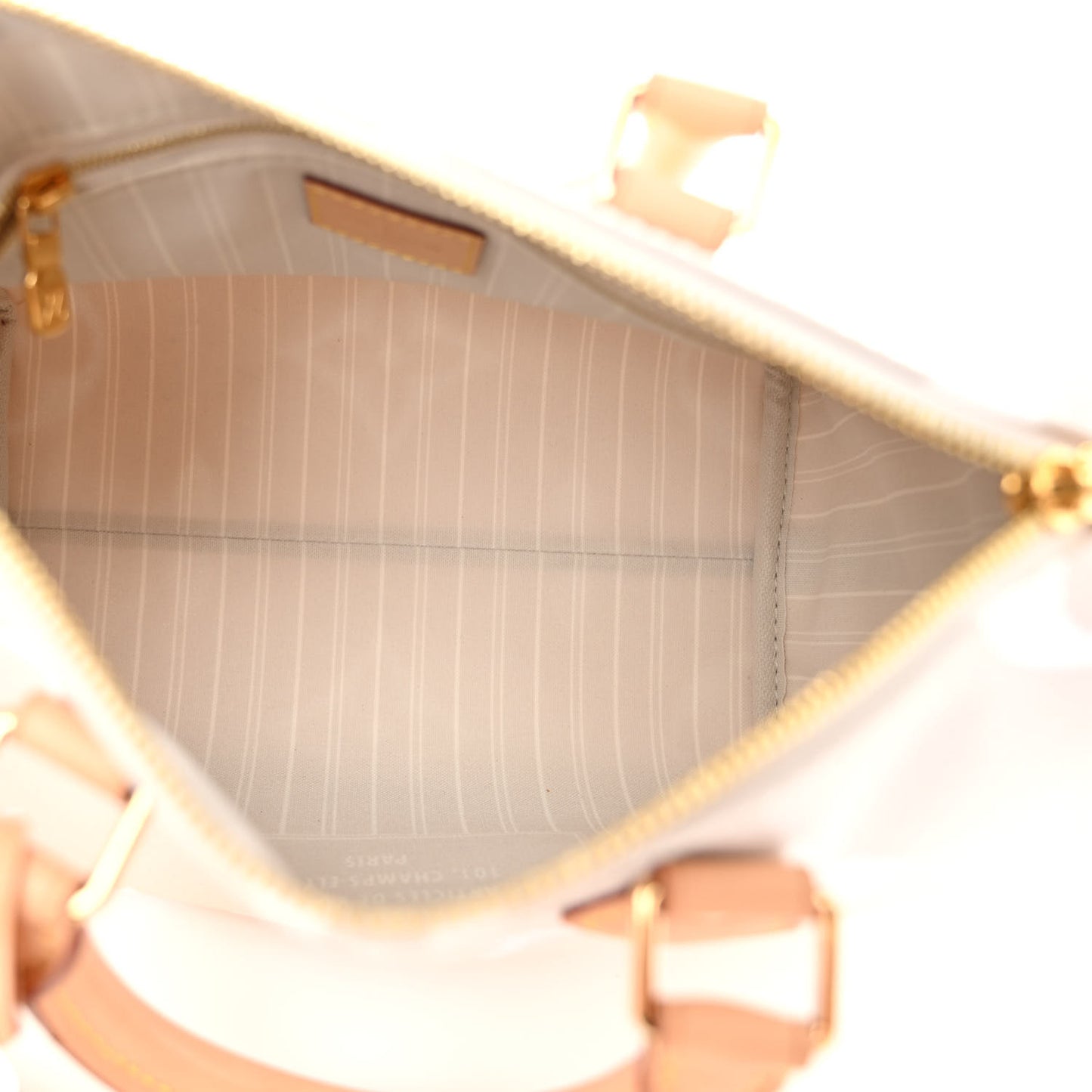 Monogram Giant By The Pool Speedy Bandouliere 25 Brume