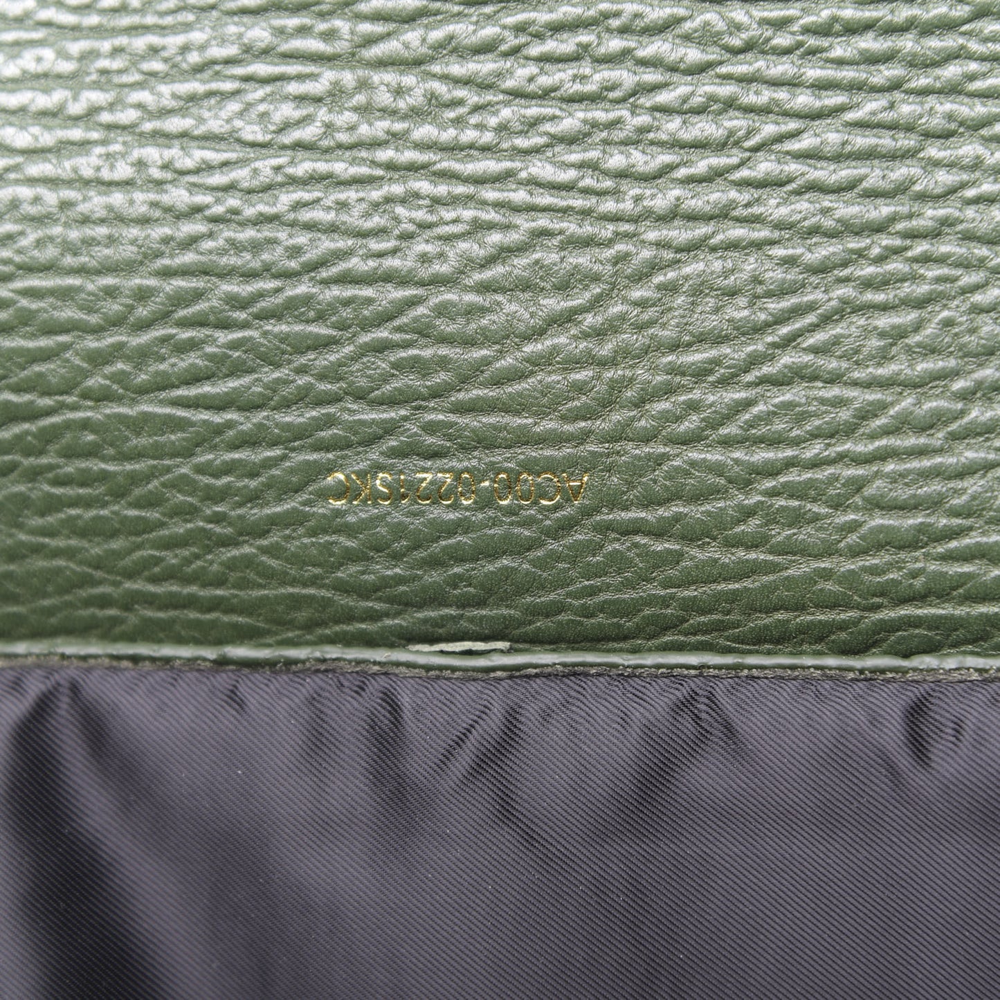 3.1 Textured Calfskin Large Pashli Satchel Jade