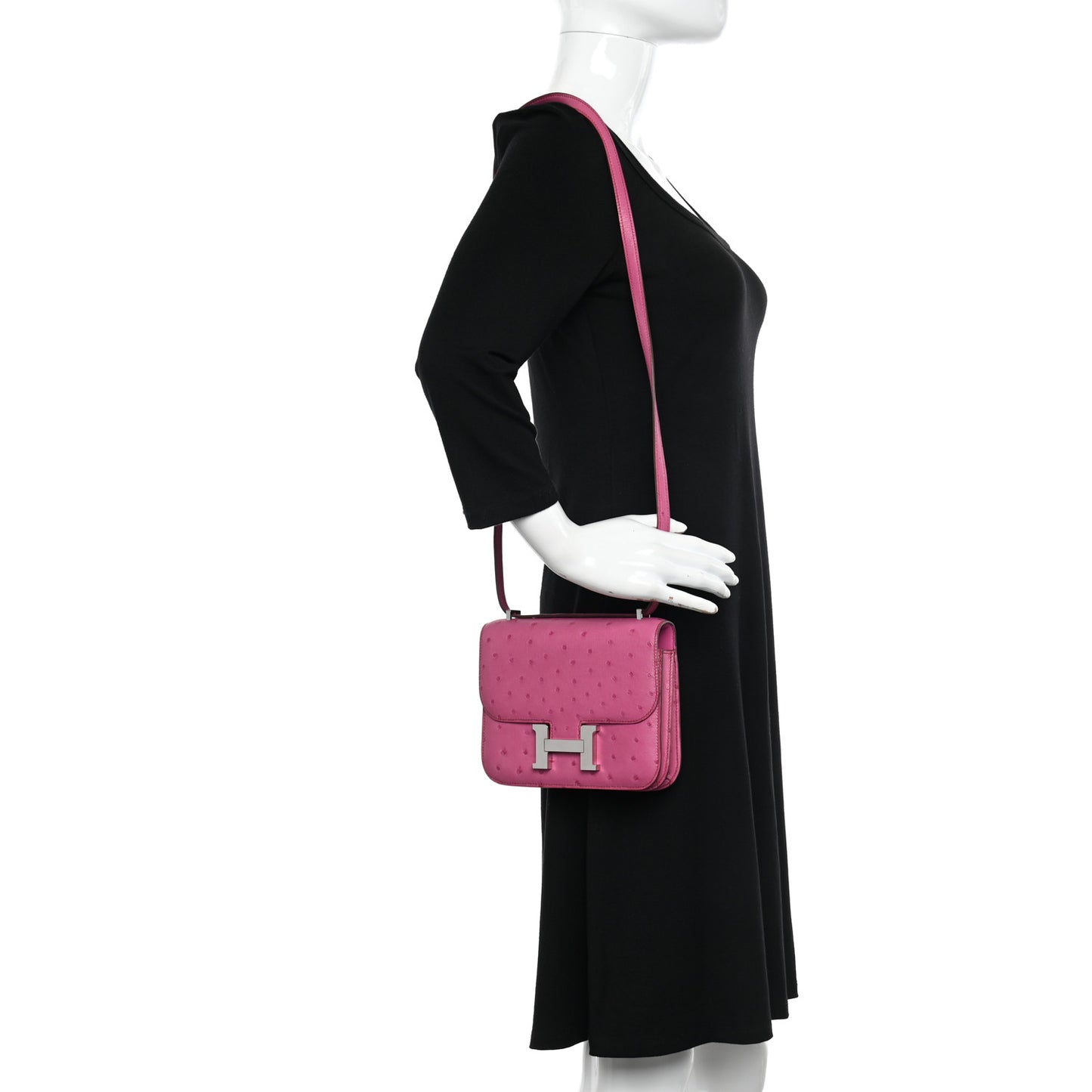 Ostrich Constance 18 Rose Pourpre